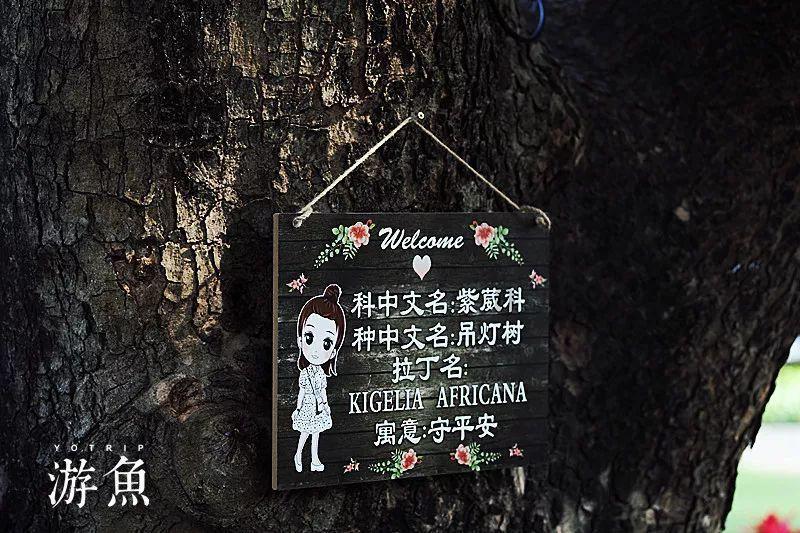 才播1天，拿下飙升榜第一，网友：今年唯一没快进还追平的都市剧