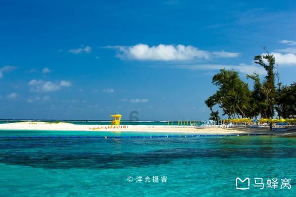 奥日与黑暗森林