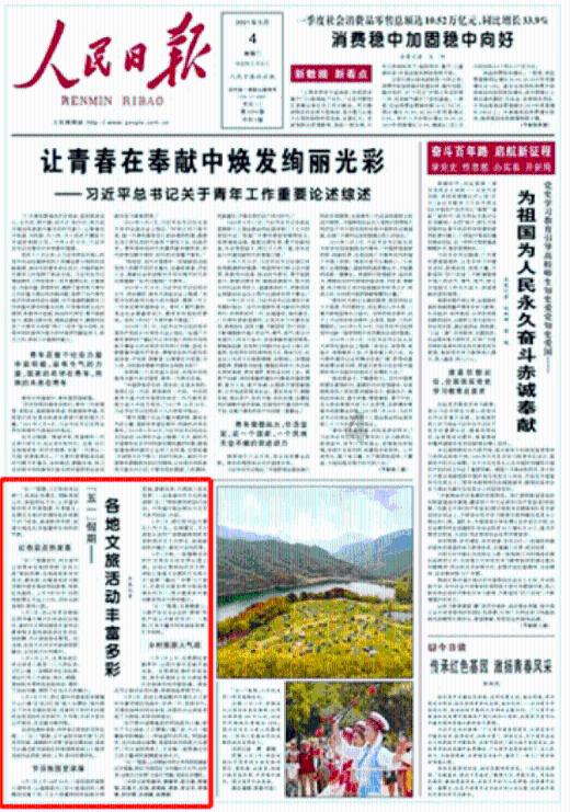 爱丽化妆教程